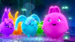 انیمیشن سانی بانیز قسمت 186 - sunny bunnies